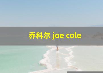 乔科尔 joe cole